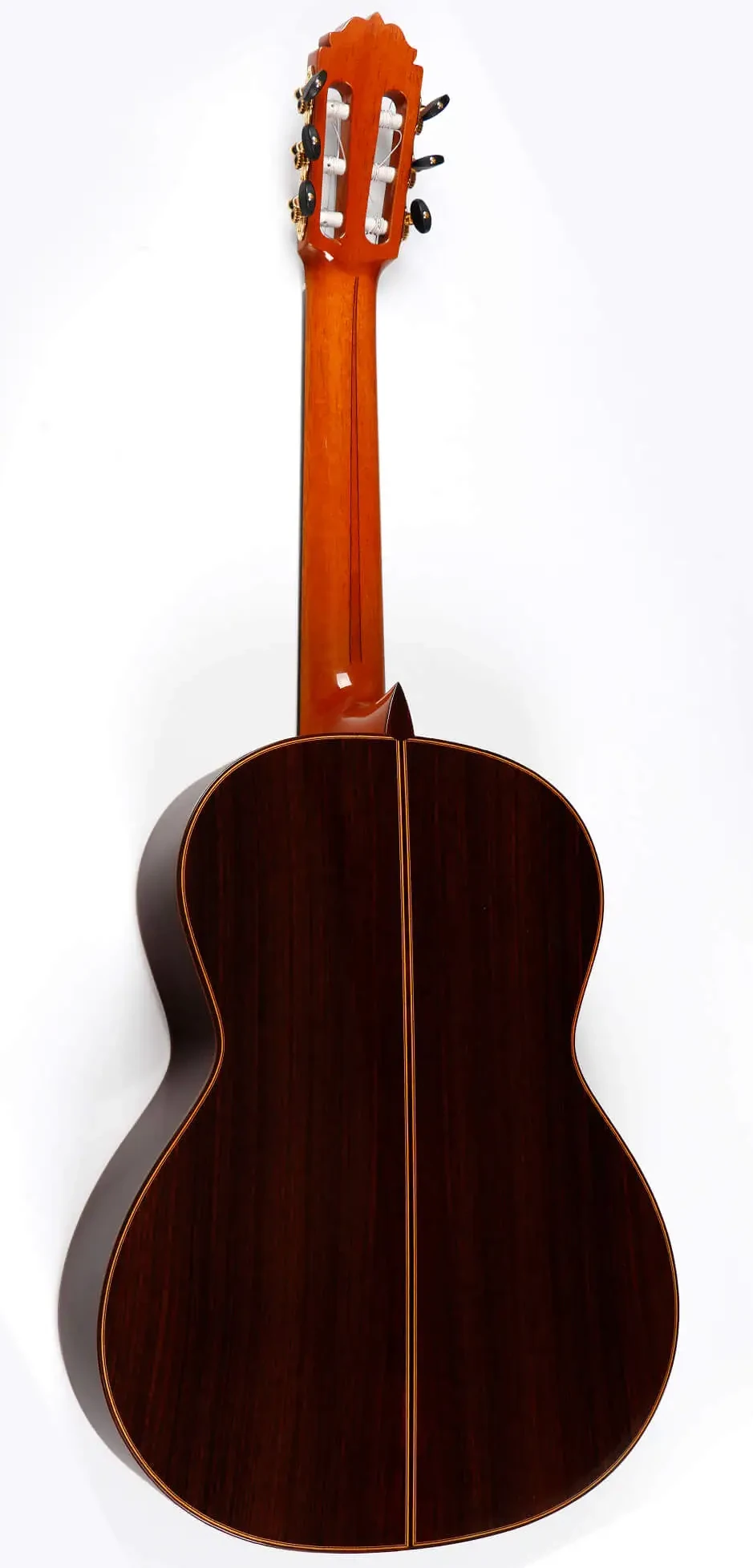 FNegra-1.webp
